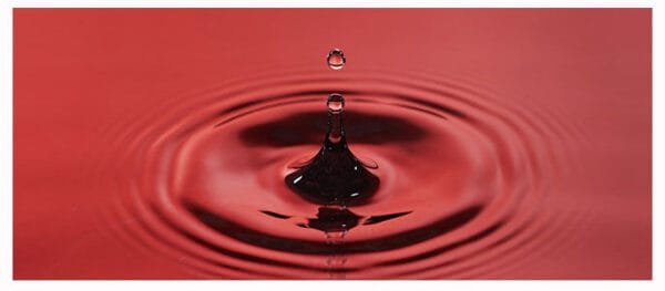 MISSHA Time Revolution Red Algae Revitalizing Serum 40ml - Image 4