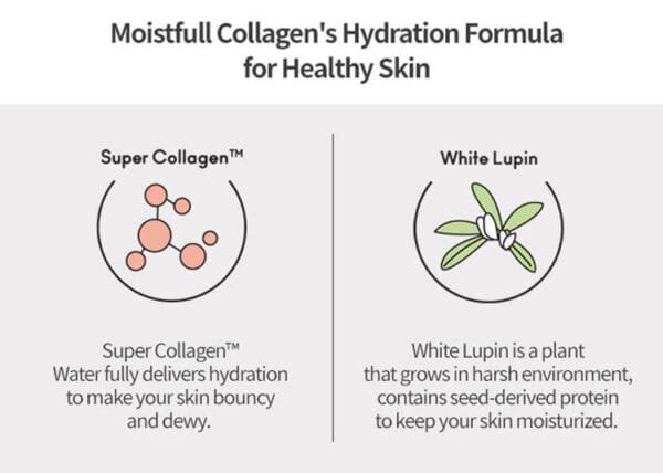 Etude House Moistfull Collagen Eye Cream 28ml - Image 2